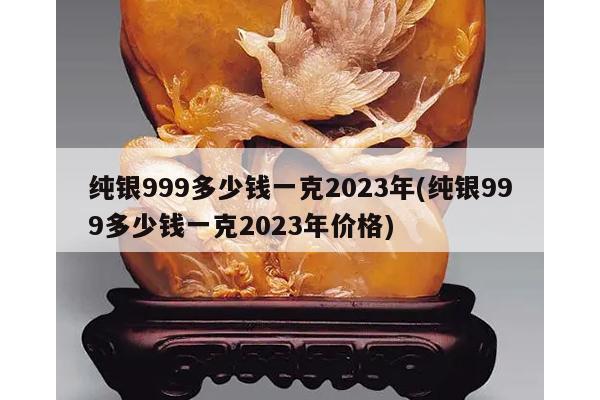 纯银999多少钱一克2023年(纯银999多少钱一克2023年价格)