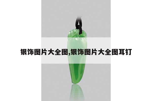 银饰图片大全图,银饰图片大全图耳钉