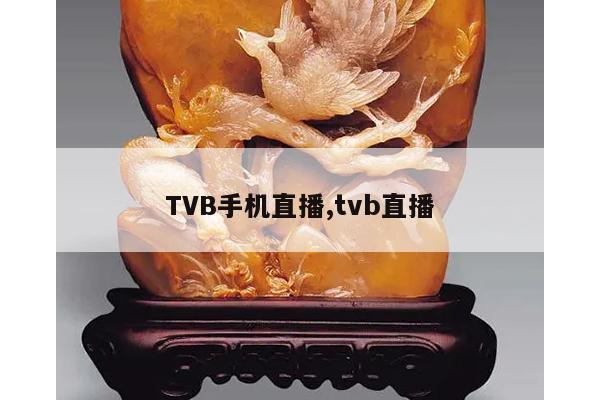 TVB手机直播,tvb直播