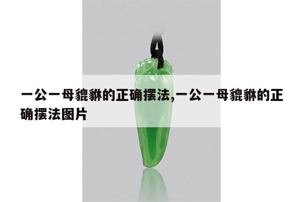 一公一母貔貅的正确摆法,一公一母貔貅的正确摆法图片