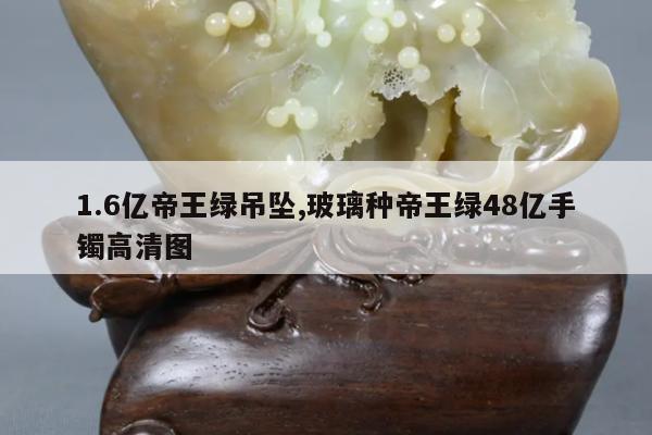 1.6亿帝王绿吊坠,玻璃种帝王绿48亿手镯高清图