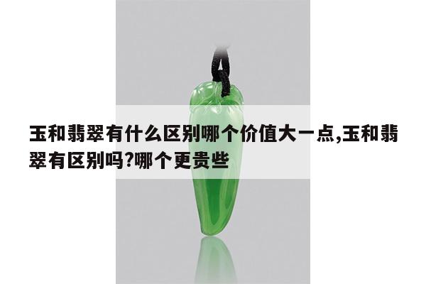 玉和翡翠有什么区别哪个价值大一点,玉和翡翠有区别吗?哪个更贵些