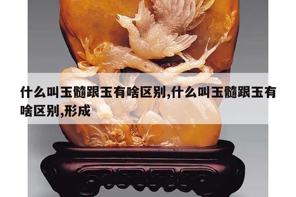 什么叫玉髓跟玉有啥区别,什么叫玉髓跟玉有啥区别,形成
