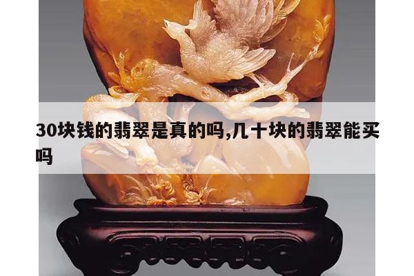 30块钱的翡翠是真的吗,几十块的翡翠能买吗