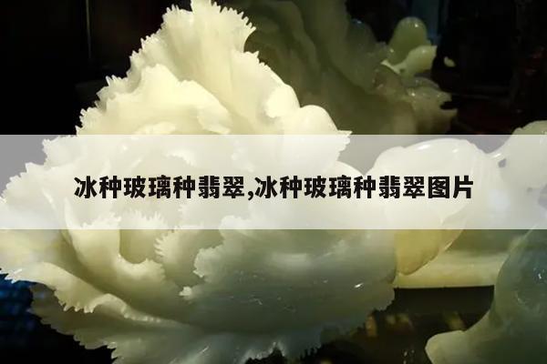 冰种玻璃种翡翠,冰种玻璃种翡翠图片