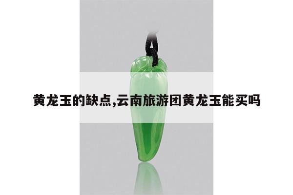 黄龙玉的缺点,云南旅游团黄龙玉能买吗