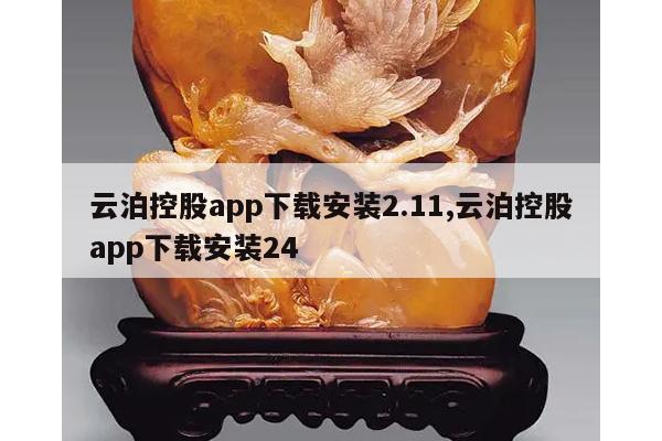 云泊控股app下载安装2.11,云泊控股app下载安装24