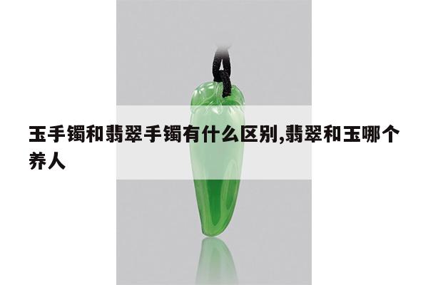 玉手镯和翡翠手镯有什么区别,翡翠和玉哪个养人