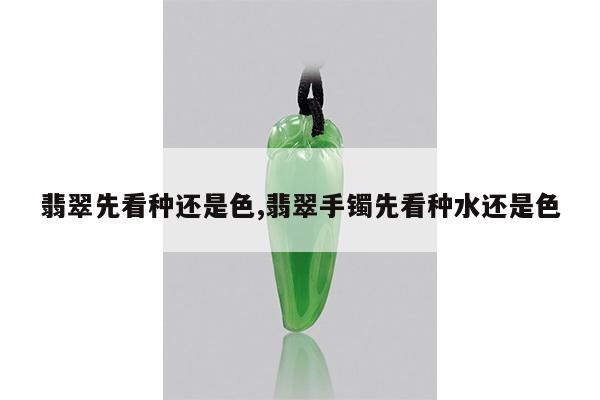 翡翠先看种还是色,翡翠手镯先看种水还是色