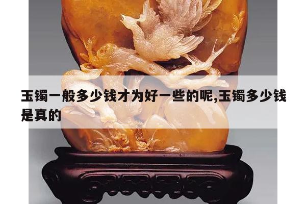 玉镯一般多少钱才为好一些的呢,玉镯多少钱是真的