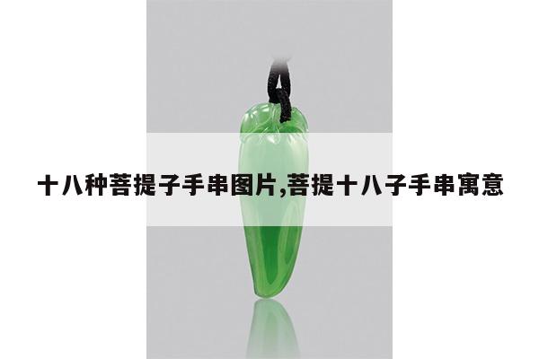 十八种菩提子手串图片,菩提十八子手串寓意