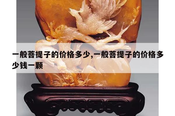 一般菩提子的价格多少,一般菩提子的价格多少钱一颗