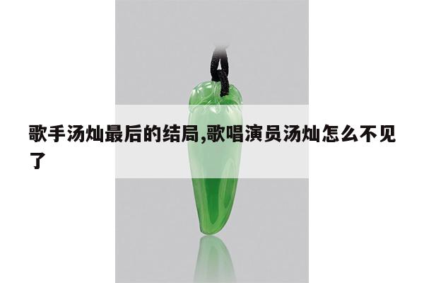 歌手汤灿最后的结局,歌唱演员汤灿怎么不见了