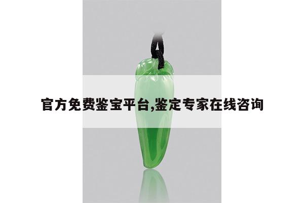 官方免费鉴宝平台,鉴定专家在线咨询