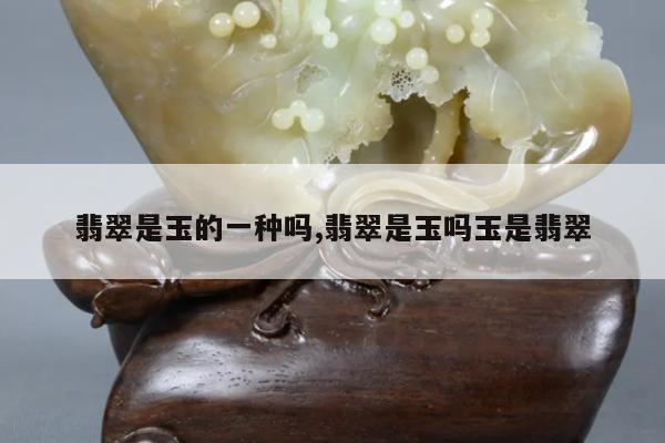 翡翠是玉的一种吗,翡翠是玉吗玉是翡翠