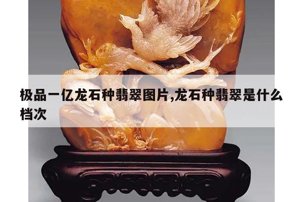 极品一亿龙石种翡翠图片,龙石种翡翠是什么档次