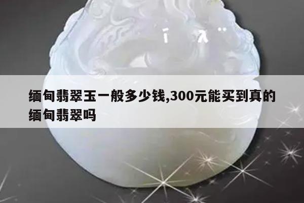 缅甸翡翠玉一般多少钱,300元能买到真的缅甸翡翠吗