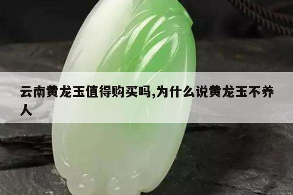 云南黄龙玉值得购买吗,为什么说黄龙玉不养人
