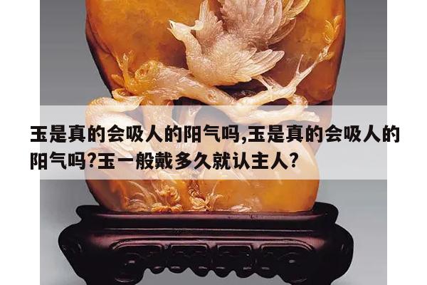 玉是真的会吸人的阳气吗,玉是真的会吸人的阳气吗?玉一般戴多久就认主人?