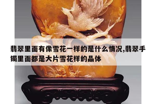 翡翠里面有像雪花一样的是什么情况,翡翠手镯里面都是大片雪花样的晶体