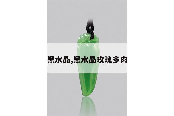 黑水晶,黑水晶玫瑰多肉