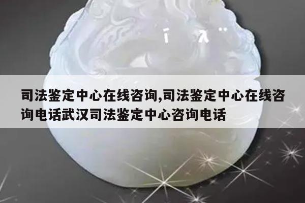 司法鉴定中心在线咨询,司法鉴定中心在线咨询电话武汉司法鉴定中心咨询电话