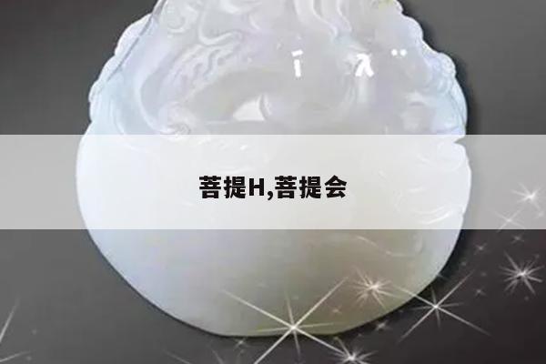 菩提H,菩提会