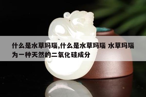 什么是水草玛瑙,什么是水草玛瑙 水草玛瑙为一种天然的二氧化硅成分