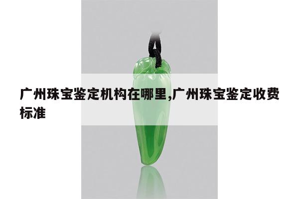 广州珠宝鉴定机构在哪里,广州珠宝鉴定收费标准