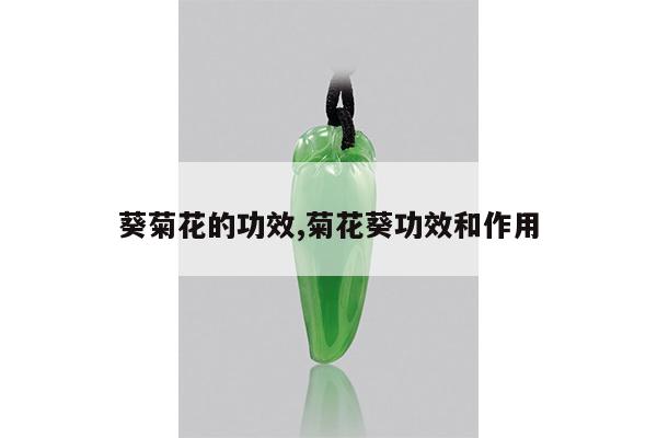 葵菊花的功效,菊花葵功效和作用