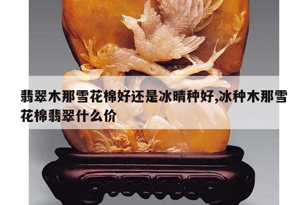 翡翠木那雪花棉好还是冰晴种好,冰种木那雪花棉翡翠什么价