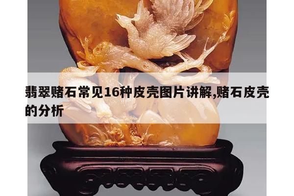翡翠赌石常见16种皮壳图片讲解,赌石皮壳的分析