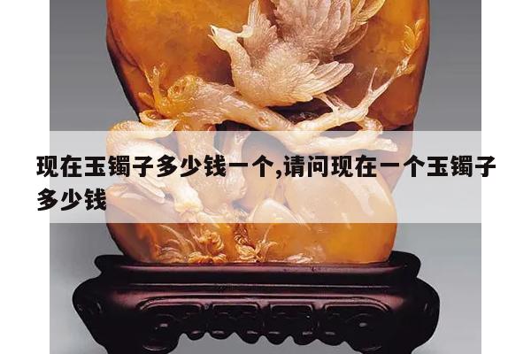 现在玉镯子多少钱一个,请问现在一个玉镯子多少钱