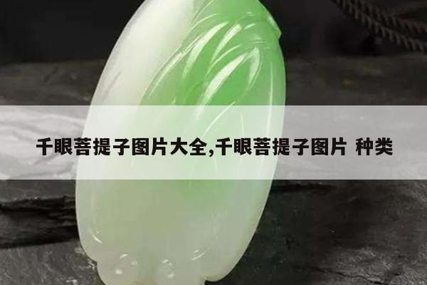 千眼菩提子图片大全,千眼菩提子图片 种类