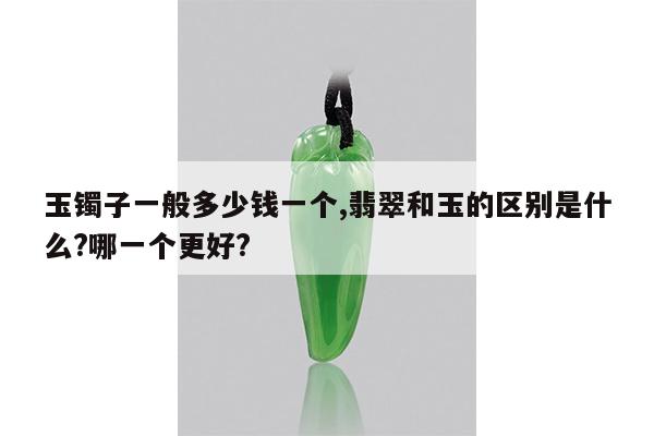 玉镯子一般多少钱一个,翡翠和玉的区别是什么?哪一个更好?