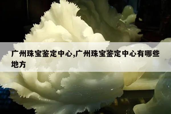 广州珠宝鉴定中心,广州珠宝鉴定中心有哪些地方