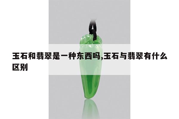 玉石和翡翠是一种东西吗,玉石与翡翠有什么区别