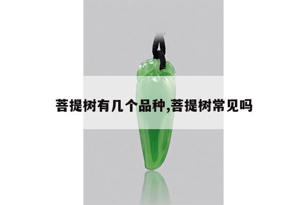 菩提树有几个品种,菩提树常见吗