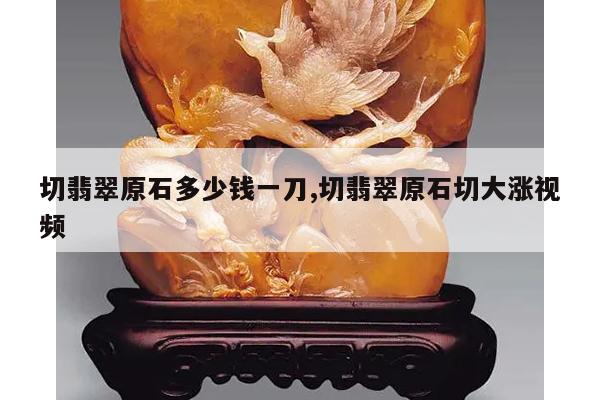 切翡翠原石多少钱一刀,切翡翠原石切大涨视频