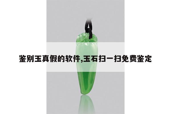 鉴别玉真假的软件,玉石扫一扫免费鉴定