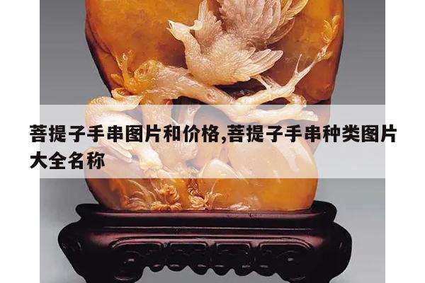 菩提子手串图片和价格,菩提子手串种类图片大全名称