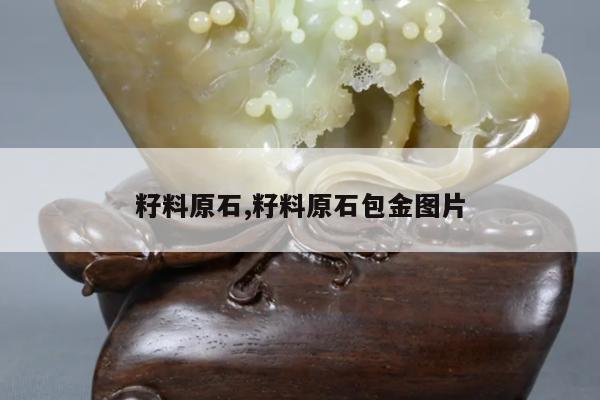 籽料原石,籽料原石包金图片