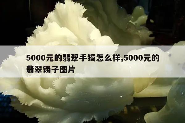 5000元的翡翠手镯怎么样,5000元的翡翠镯子图片