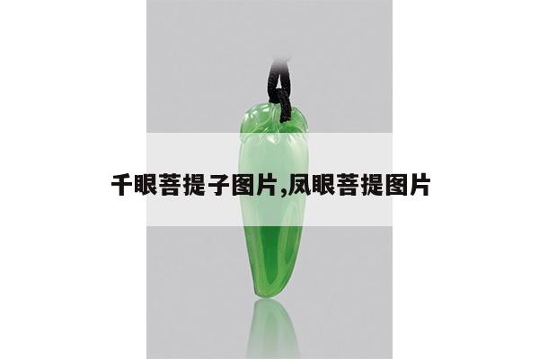 千眼菩提子图片,凤眼菩提图片