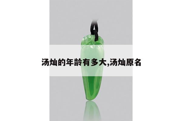 汤灿的年龄有多大,汤灿原名