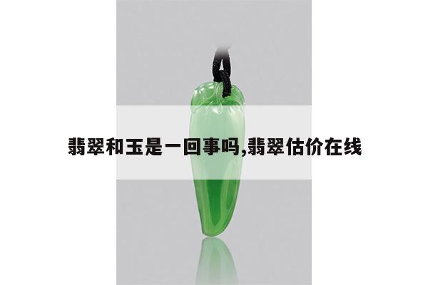 翡翠和玉是一回事吗,翡翠估价在线