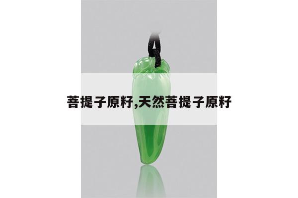 菩提子原籽,天然菩提子原籽