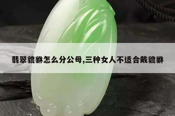 翡翠貔貅怎么分公母,三种女人不适合戴貔貅