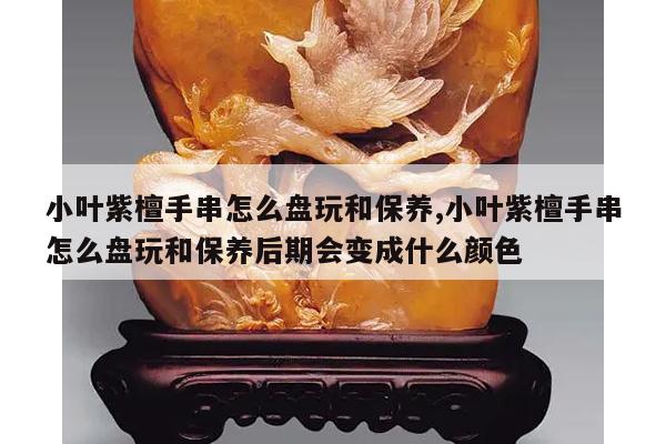 小叶紫檀手串怎么盘玩和保养,小叶紫檀手串怎么盘玩和保养后期会变成什么颜色