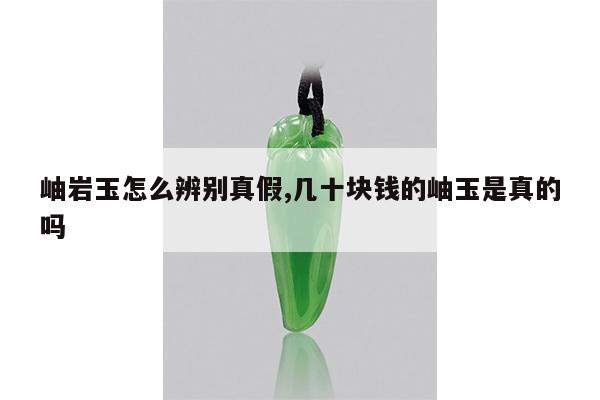 岫岩玉怎么辨别真假,几十块钱的岫玉是真的吗